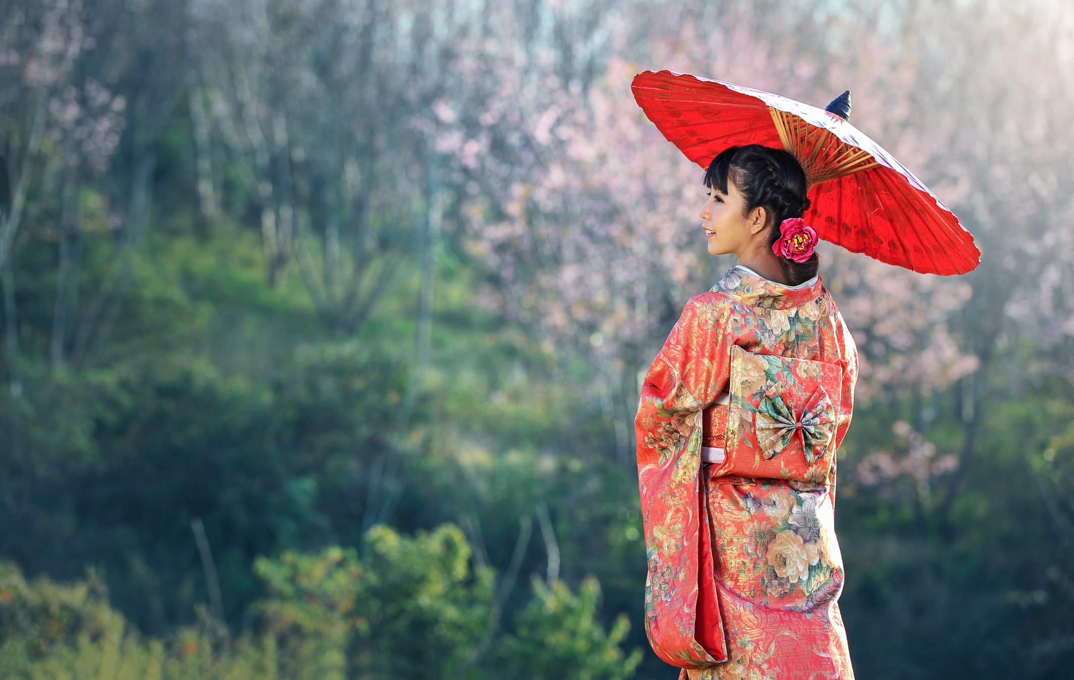 Japanese Woman in Traditional Kimono